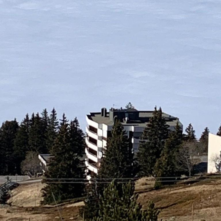 Appartement cosy à Chamrousse avec balcon et équipements - FR-1-549-89 - Apartment - 19