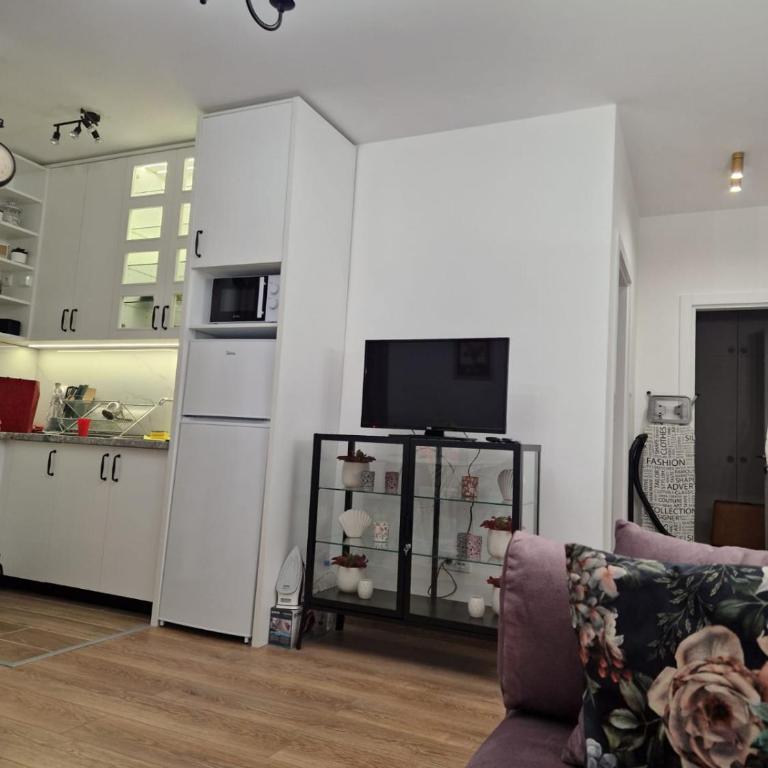 Koviljača apartman Demetrios - Apartman sa 1 Spavaćom Sobom - 2
