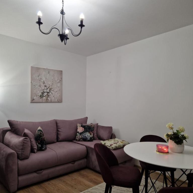 Koviljača apartman Demetrios - Apartman sa 1 Spavaćom Sobom - 14