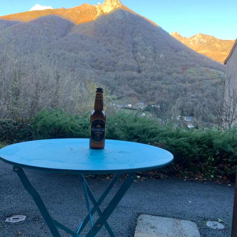 Jolie appartement aux Estives vue montagne - Appartement avec Vue sur la Montagne - 18