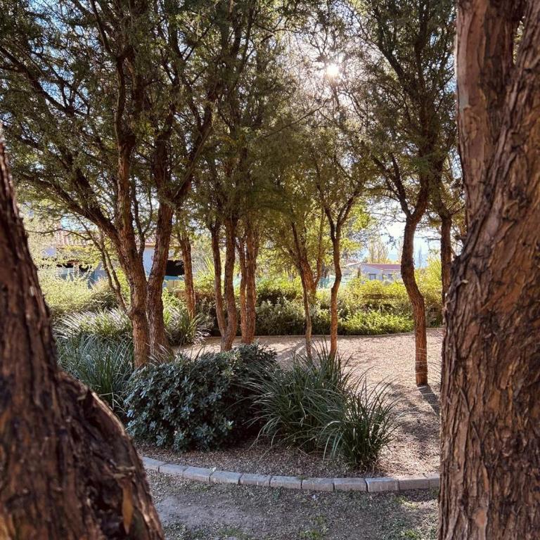 Casa en Estancias de Cafayate A38 - Villa con piscina privada - 34