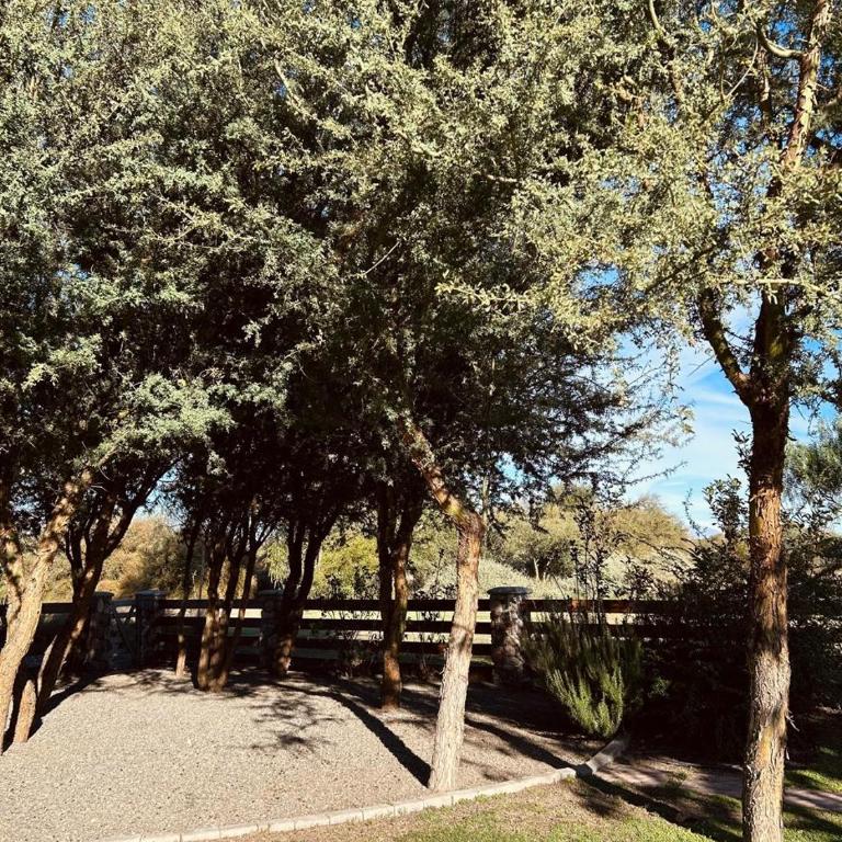 Casa en Estancias de Cafayate A38 - Villa con piscina privada - 39