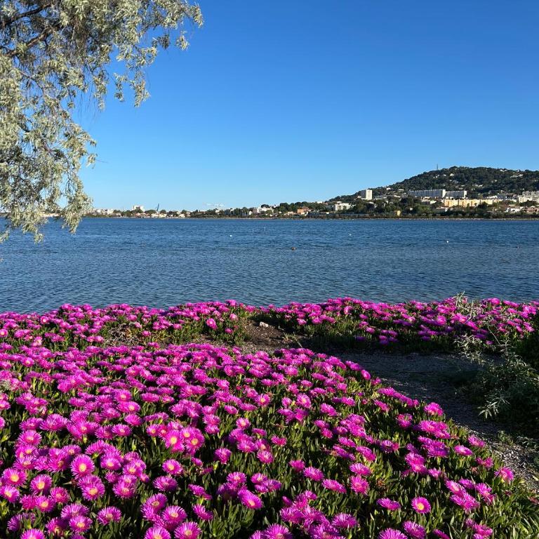 Sète - Coeur de ville et proximité canaux , Appartement plein soleil, Vue St Clair - Two-Bedroom Apartment - 13