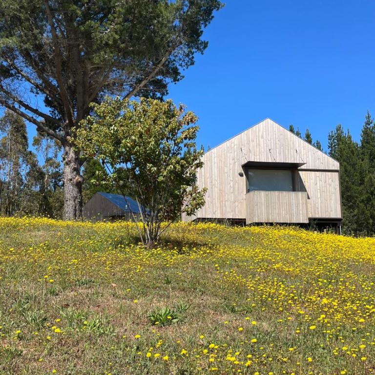 Alojamiento y Desayuno Privado De lujo C2 - One-Bedroom House - 1