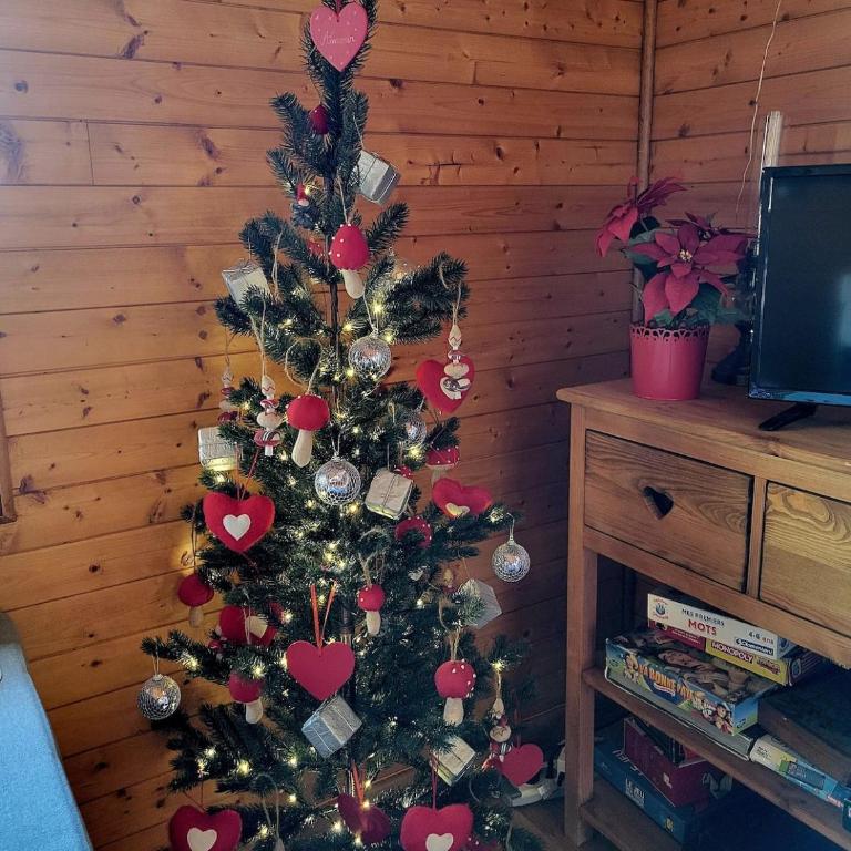 Chalet lumineux et spacieux entre Risoul Vars et les stations du Queyras - Chalet Supérieur - 66