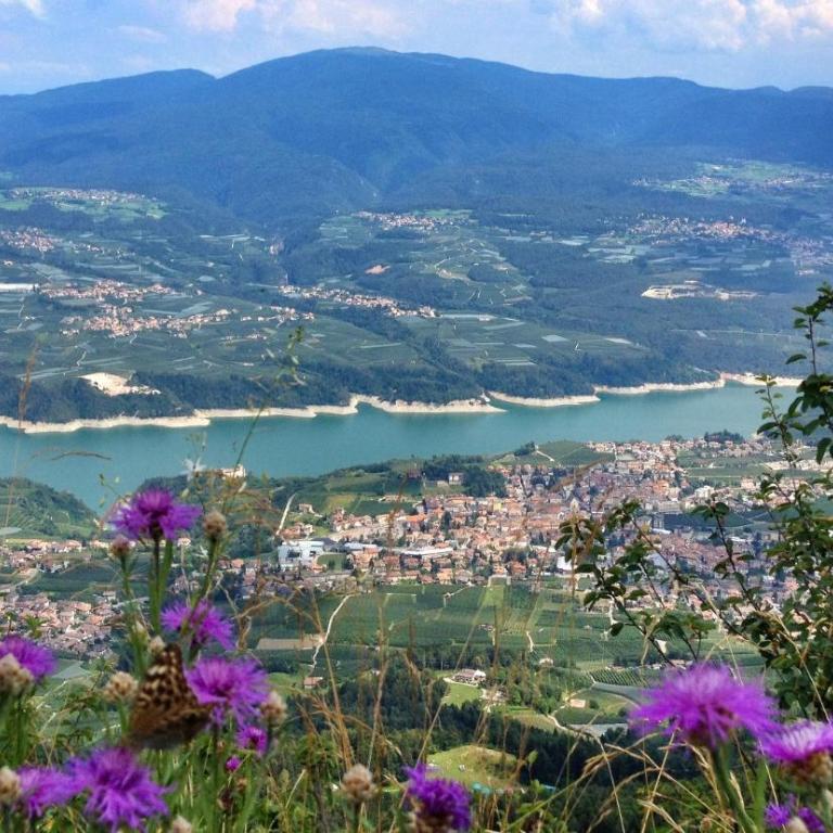 Appartamento Agritur nel Verde - Apartment mit 4 Schlafzimmern - 15
