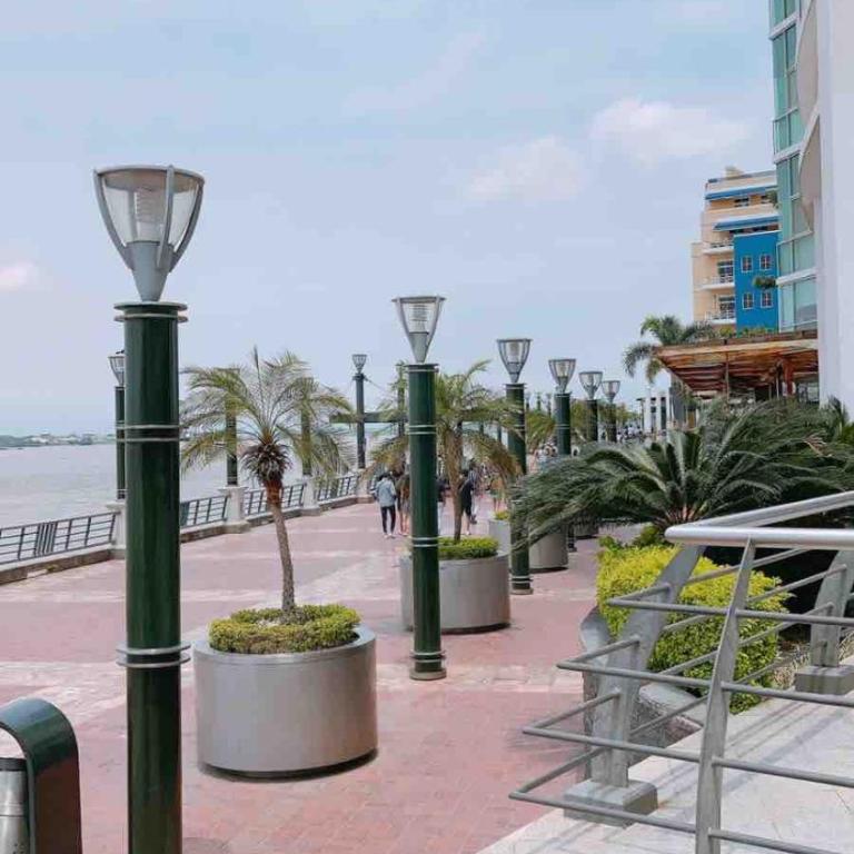 Exclusive Suite in Puerto Santa Ana - One-Bedroom Apartment - 38