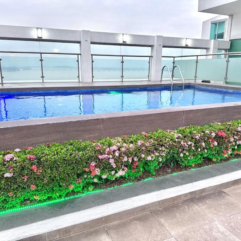 Exclusive Suite in Puerto Santa Ana - One-Bedroom Apartment - 17