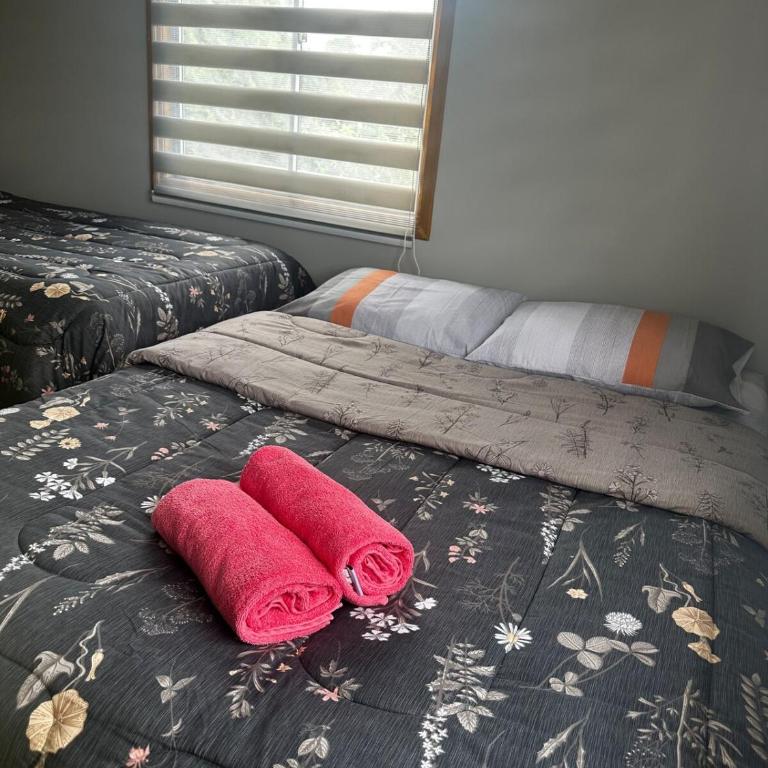 Hostal Verde Bendito Apartmento 1 Temuco - One-Bedroom Apartment - 5