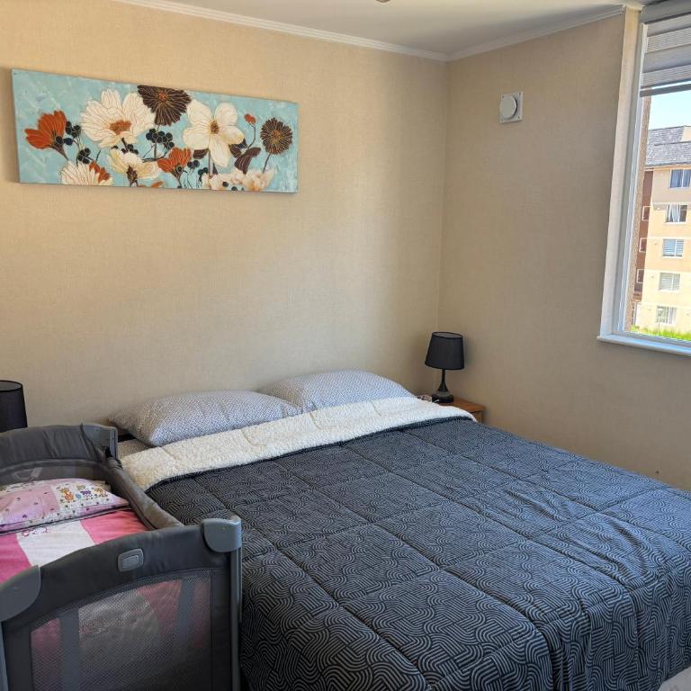 Departamento villarrica para 4 personas - Apartamento de 2 dormitorios - 17