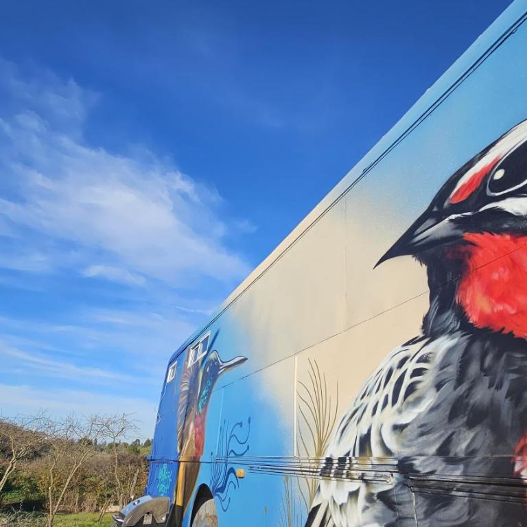 Bird Bus Chile - Descanso- Aventura - Comodidad - Mobile Home - 2