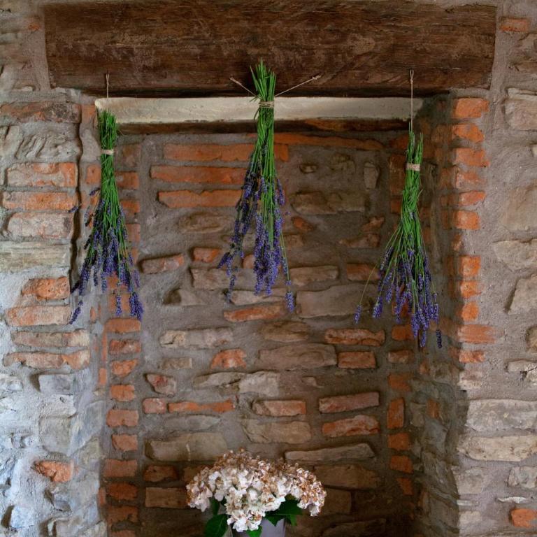 Allegro Agriturismo Argiano - Appartamento con 2 Camere da Letto e Vista Giardino - 15
