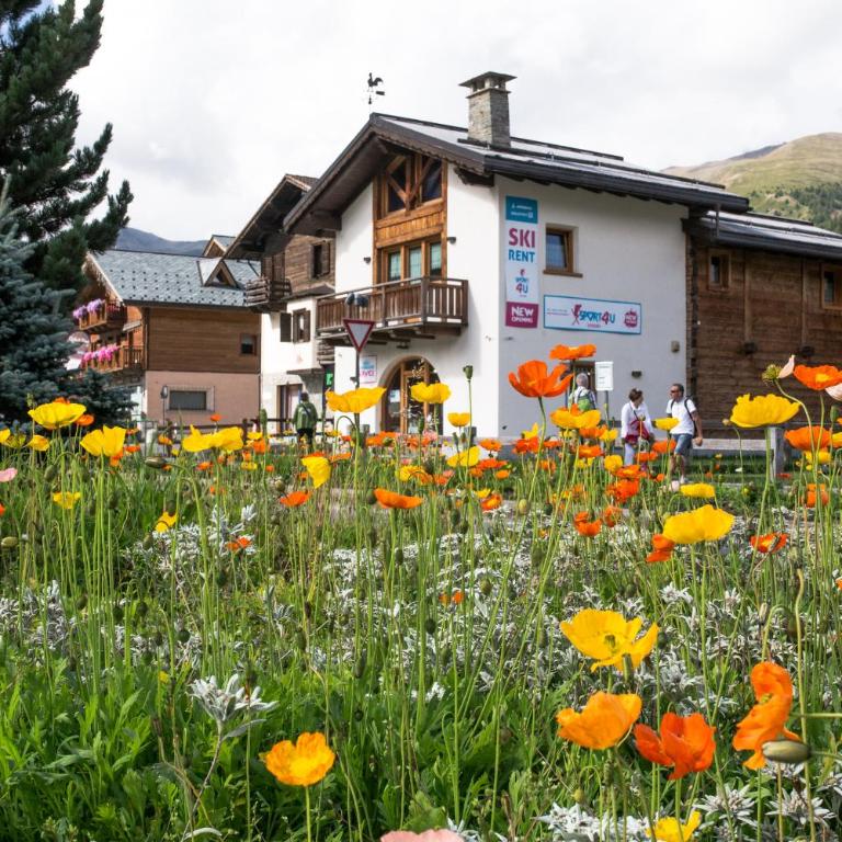 Chalet Irene Livigno - Appartamento con 2 Camere da Letto - 4