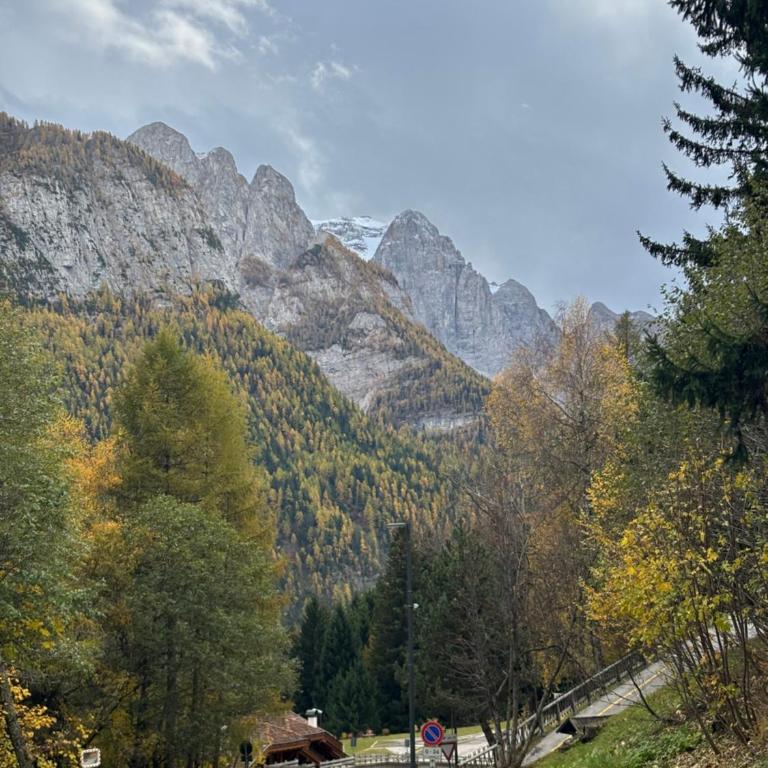 La Casetta In Val di Sole - Monolocale accogliente a Folgarida - One-Bedroom Apartment - 10