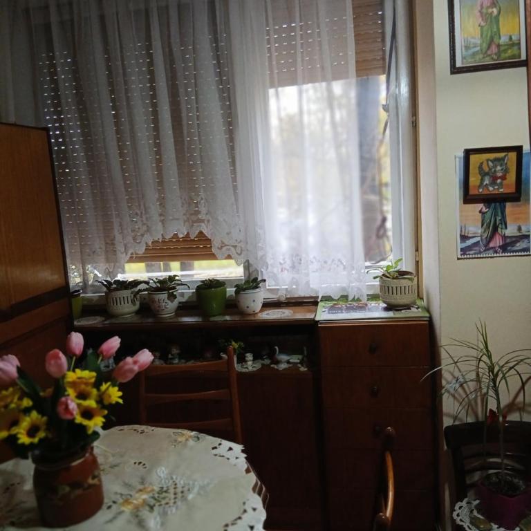 Rajka - Two-Bedroom Apartment - 9