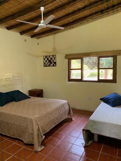 Finca Basin - Chalet - 11