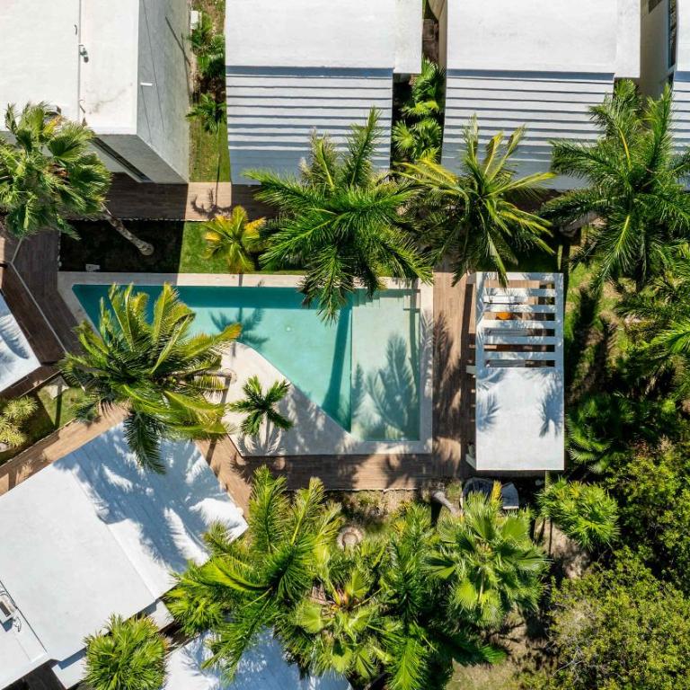 Casa Palma - 2BR - Pool Palms & Paradise - Casa - 3