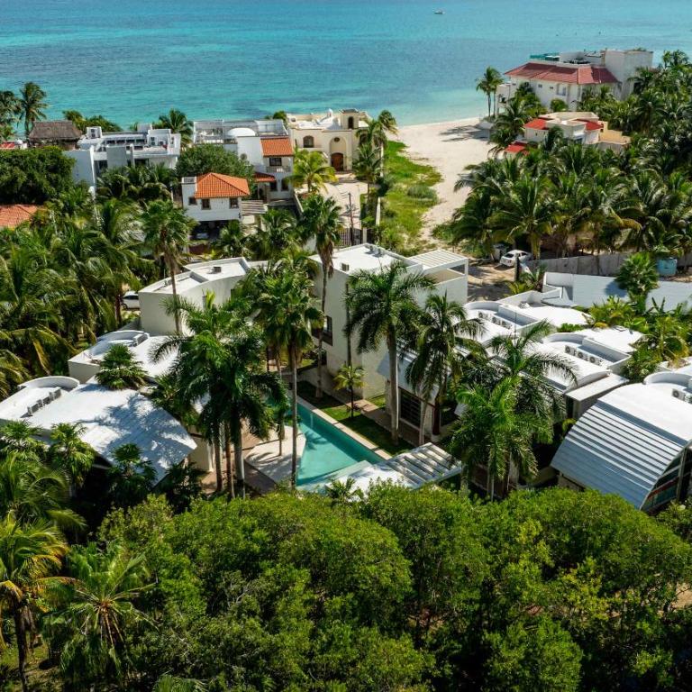 Casa Palma - 2BR - Pool Palms & Paradise - Casa - 4