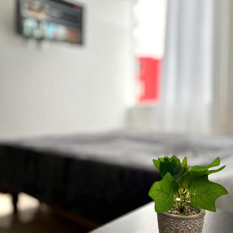 Mirador Andino al Norte de Armenia con Parqueadero - Apartamento de 1 dormitorio - 15