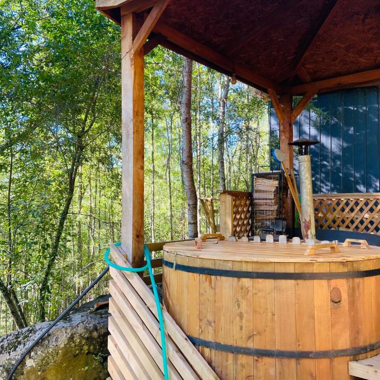 Cabañas con tinajas Mahuidas Panguipulli - Double Room with Garden View - 4