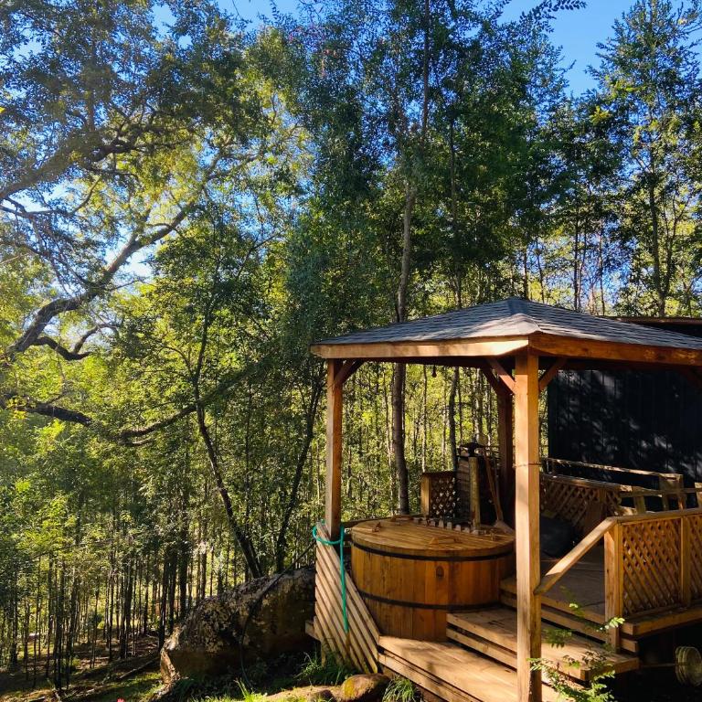 Cabañas con tinajas Mahuidas Panguipulli - Double Room with Garden View - 13