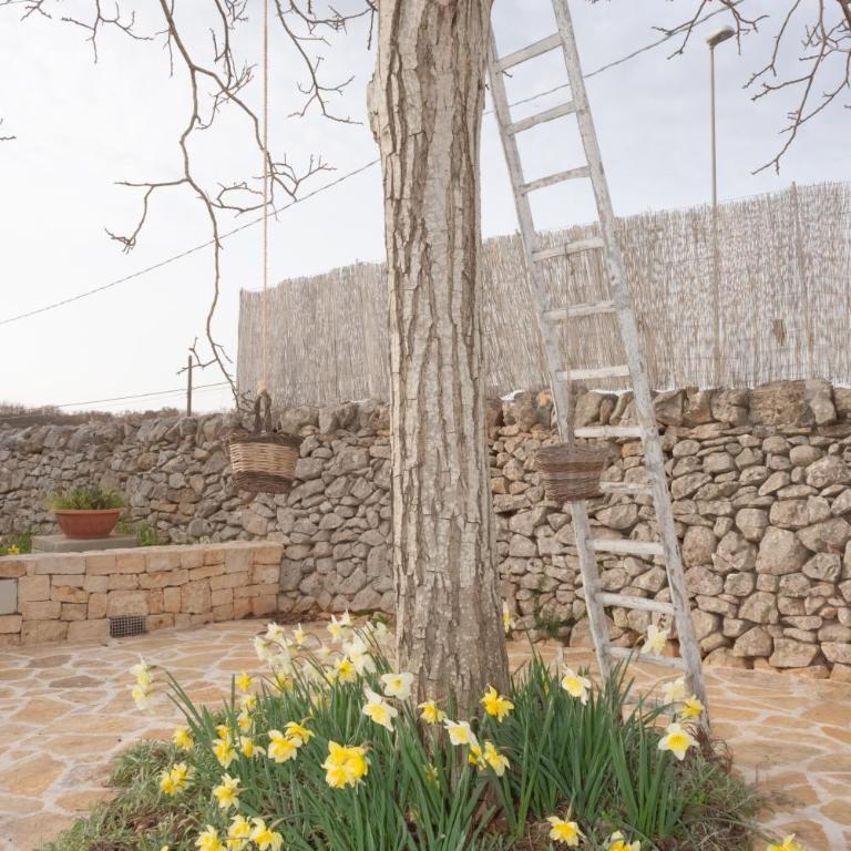 I trulli di Mina - Villa - 40