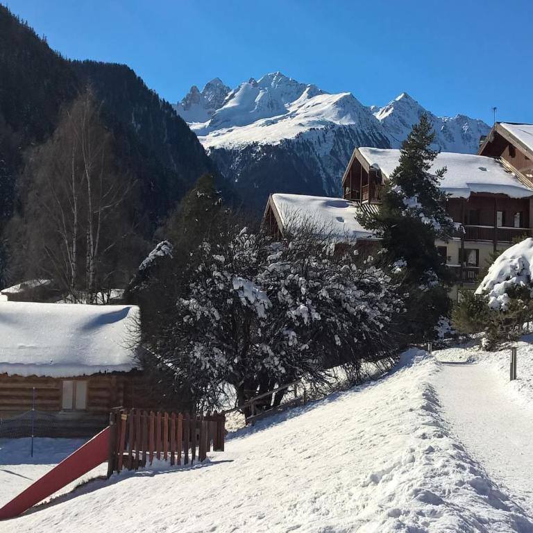 Chalet in Villarodin near Lake - Chalet 2 Chambres - 21
