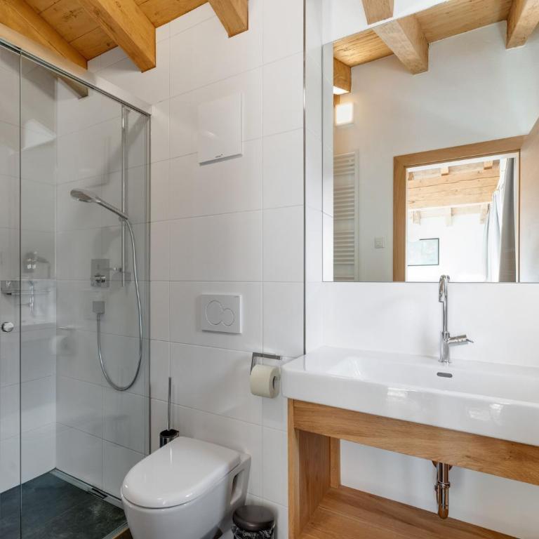 Chalet in Mühlbach near Hochkönig Ski - Superior Chalet - 23