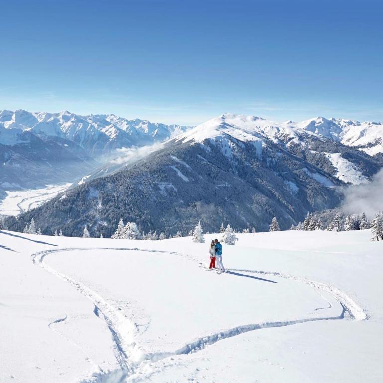 Holiday home in Hollersbach im Pinzgau - Maison de Vacances 1 Chambre - 31