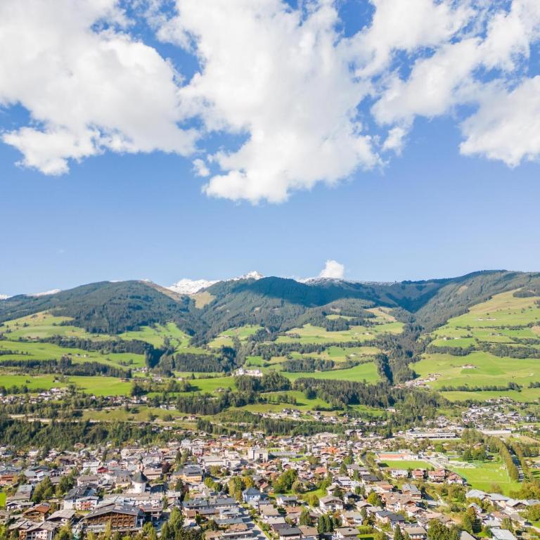 Apartment in Mittersill with mountain view - Apartment mit 2 Schlafzimmern - 24