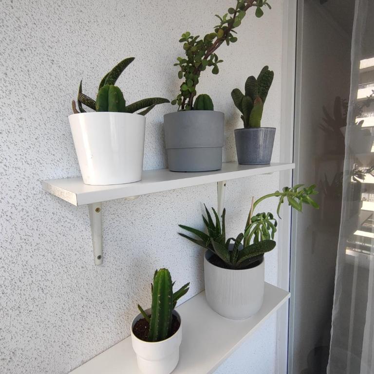 Departamento 1B+1D Álvarez 1802 - Apartment - 20