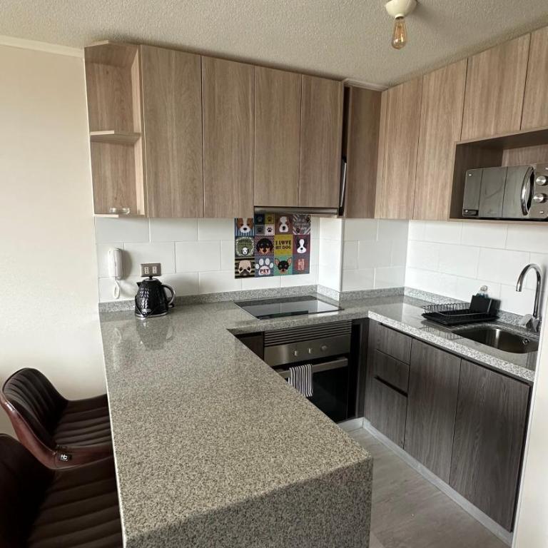 Barrio Universitario VI - One-Bedroom Apartment - 10