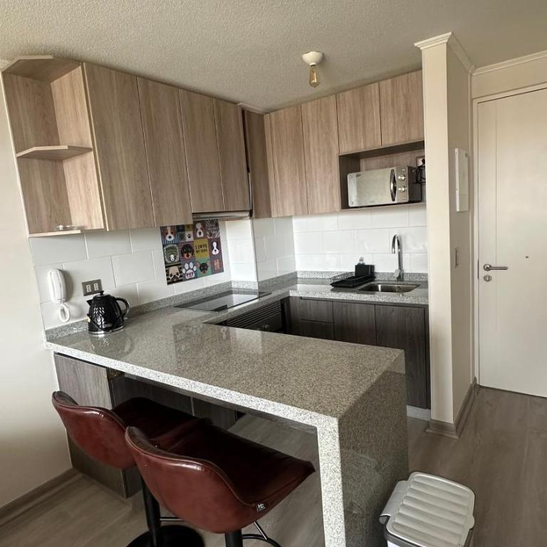 Barrio Universitario VI - One-Bedroom Apartment - 11