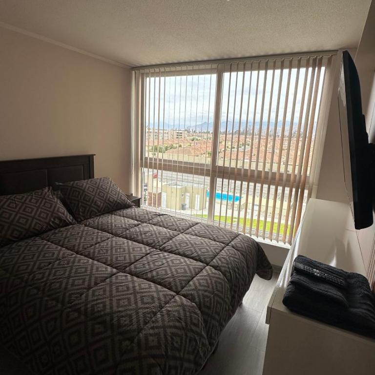 Barrio Universitario VI - One-Bedroom Apartment - 1