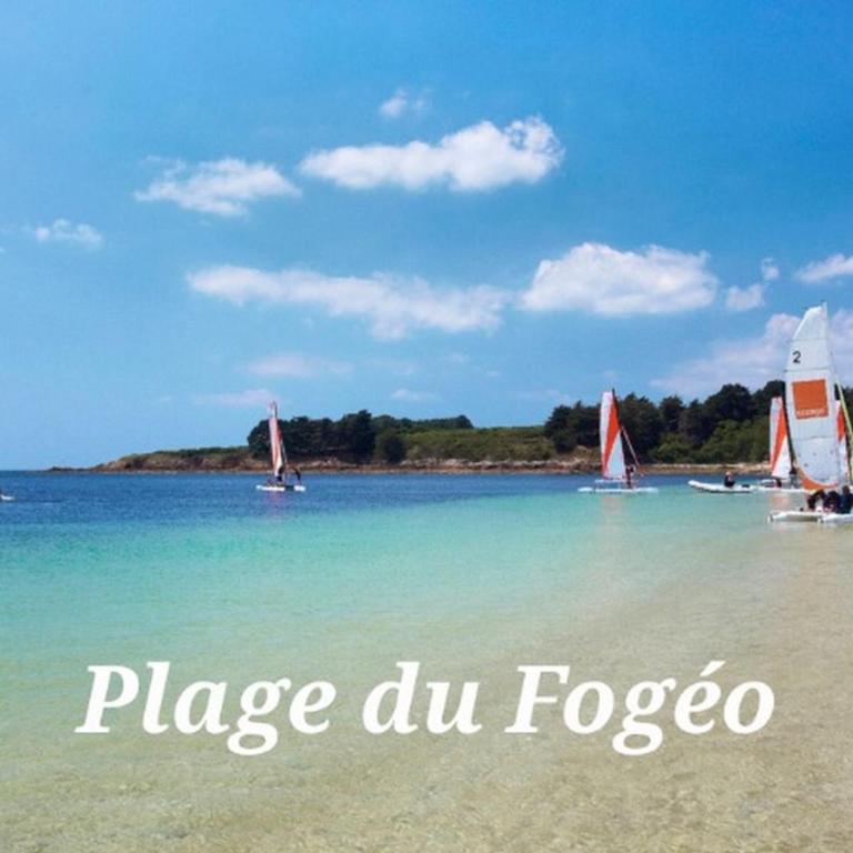 Maison 8 pers, Arzon, animaux admis - FR-1-775-52 - Maison de Vacances - 29