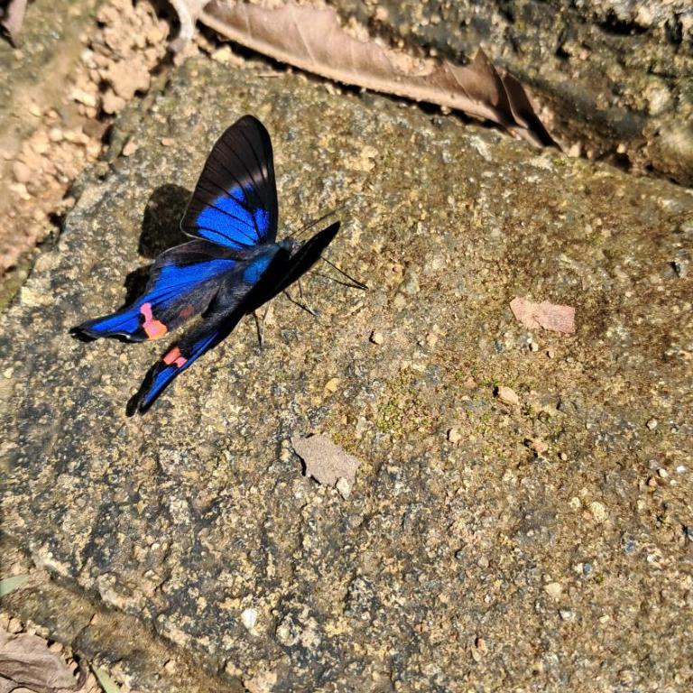 tukamping - Habitación Doble con vistas a la montaña - 11