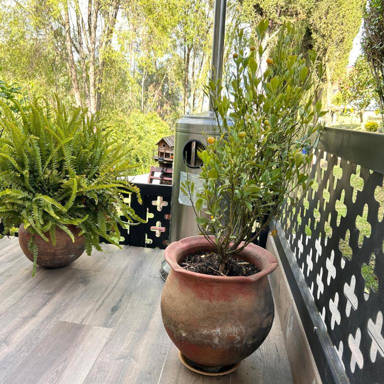 Suite de lujo con naturaleza y BBQ cerca de Cuenca - Apartamento de 1 dormitorio - 81