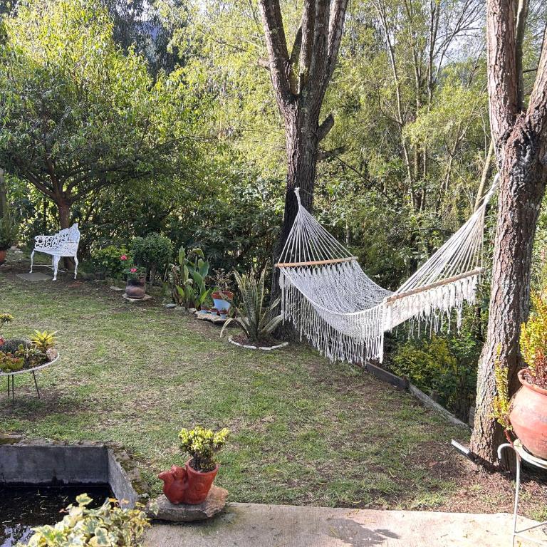 Suite de lujo con naturaleza y BBQ cerca de Cuenca - Apartamento de 1 dormitorio - 89