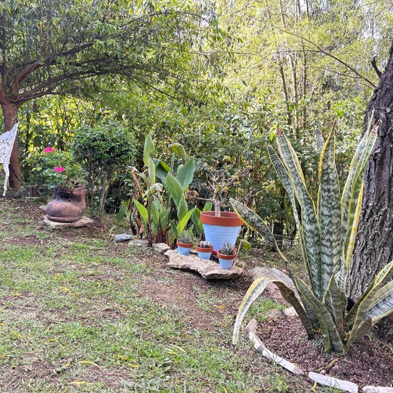 Suite de lujo con naturaleza y BBQ cerca de Cuenca - Apartamento de 1 dormitorio - 97