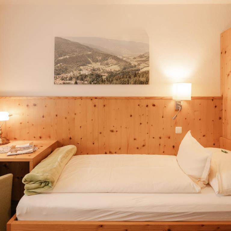 Hotel Käferhube - Einzelzimmer mit Bergblick - 1