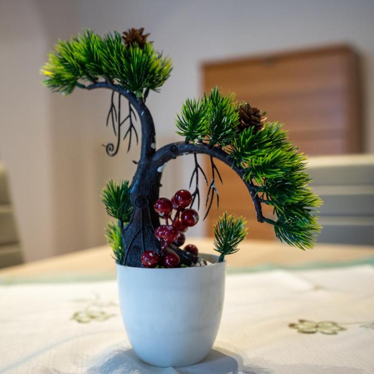 [Golf_House_Apartment] - Appartamento con 1 Camera da Letto - 4