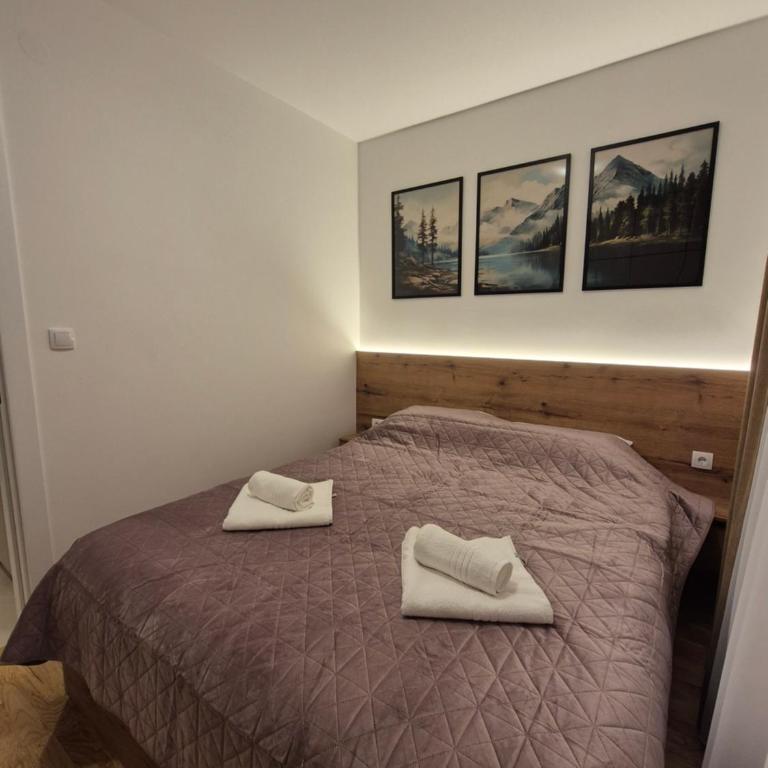 Jahorina IcePeak Apartment 301 - One-Bedroom Apartment - 10