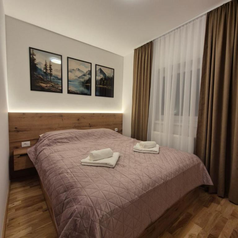 Jahorina IcePeak Apartment 301 - One-Bedroom Apartment - 11