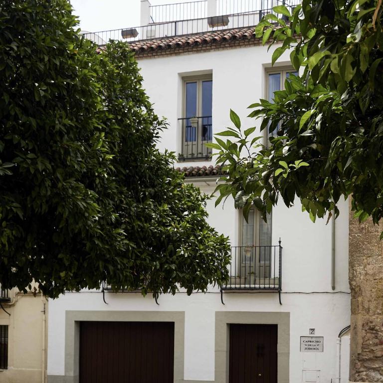Capricho de la Judería Suites - Appartement Supérieur - 25