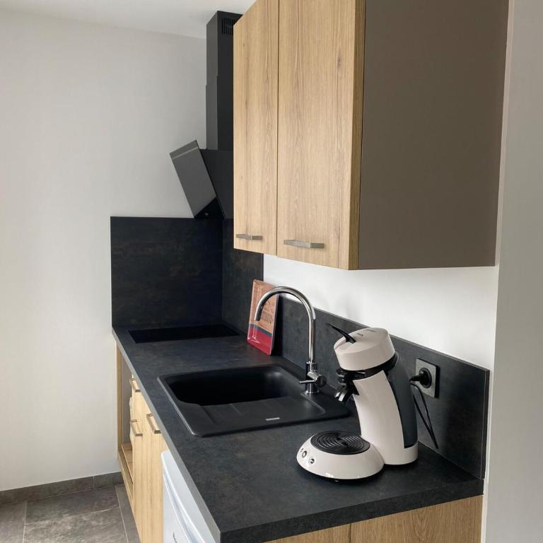 Studio au calme avec terrasse et parking privé - Appartement 1 Chambre - 6