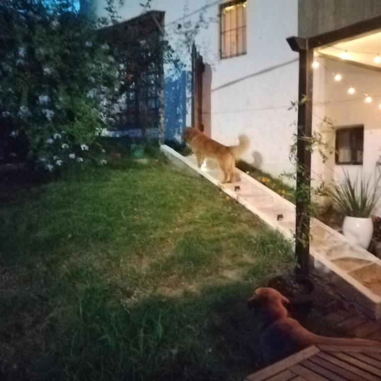 A una cuadra Playa Mansa casa independiente - One-Bedroom House - 4