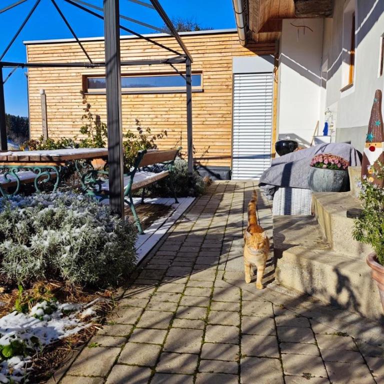 Ferienhaus am HerbstHof - Maison de Vacances - 26