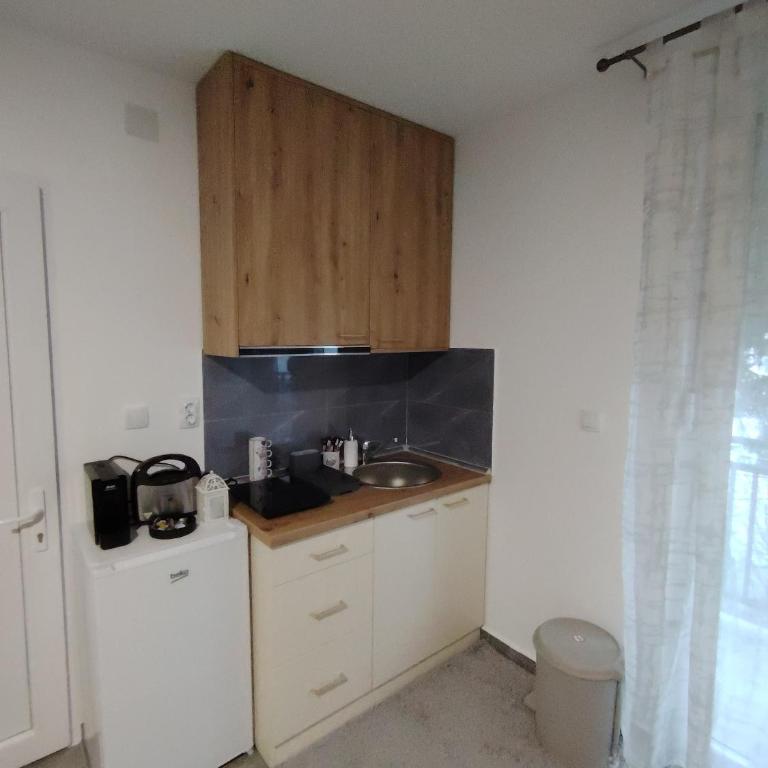 Everblue Chalet Kopaonik - Studio Apartment with Balcony - 7