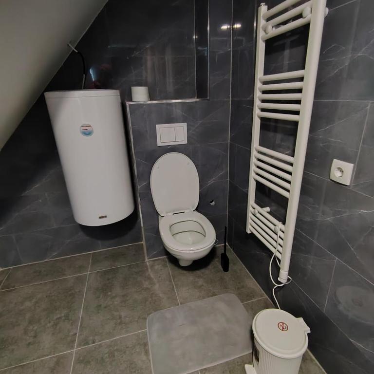 Everblue Chalet Kopaonik - One-Bedroom Apartment with Terrace - 11