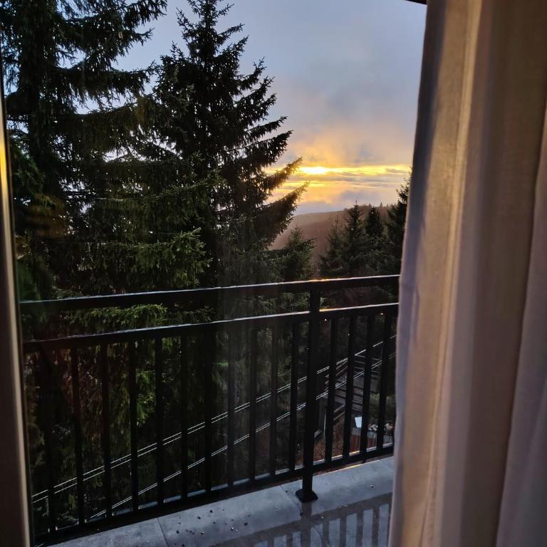 Everblue Chalet Kopaonik - One-Bedroom Apartment with Terrace - 14